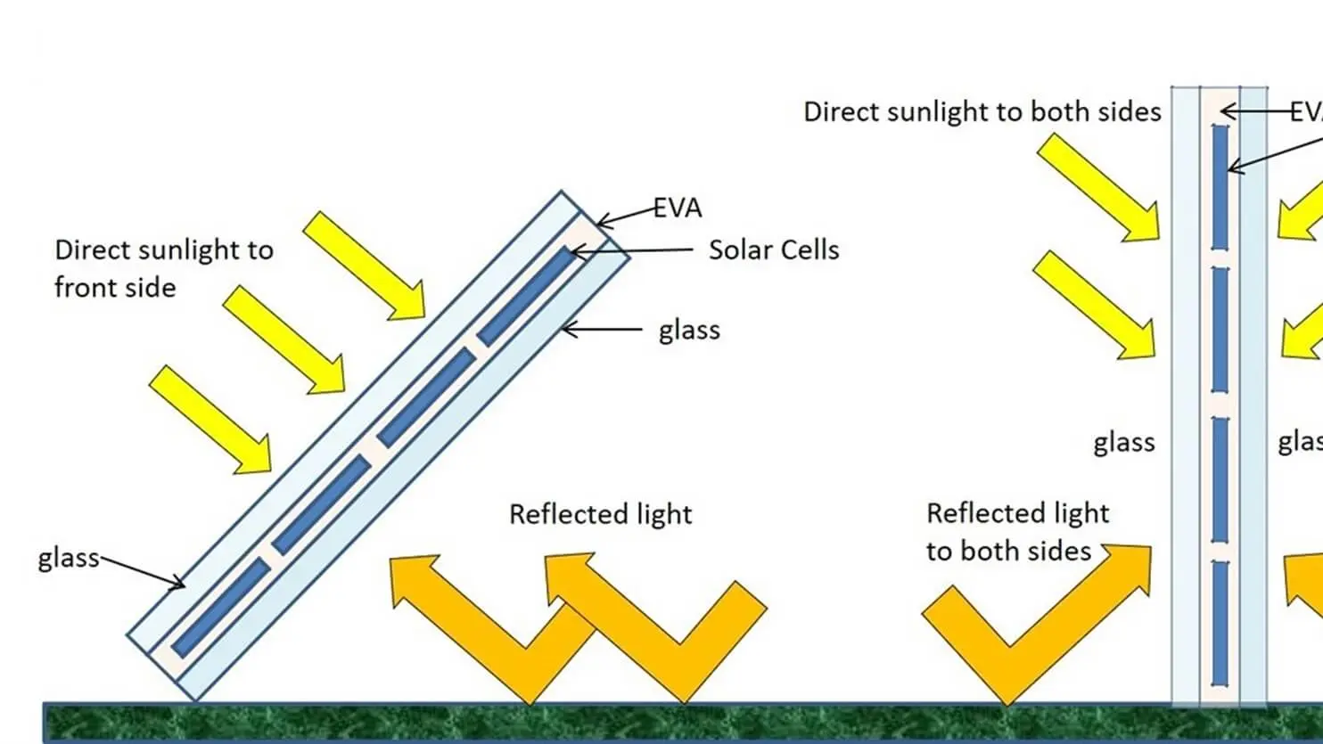 Bifacial Module